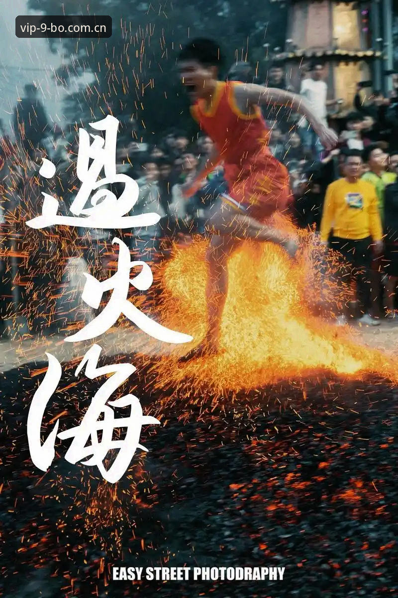 BO官方入口必备 揭秘9博体育平台:BO官方入口必备背后的真相