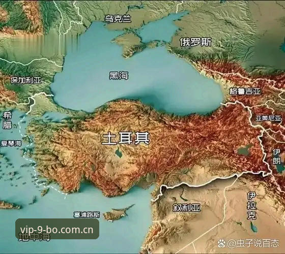 世界杯观赛危机深度分析：签证乱象与地缘政治如何让约旦土耳其球迷梦碎
